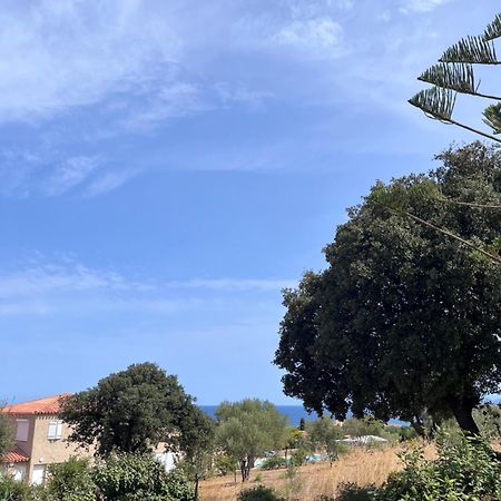 Appartement Rez De Villa LʼÎle-Rousse 外观 照片