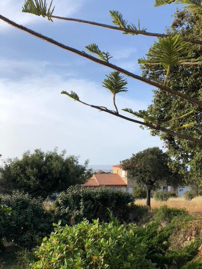 Appartement Rez De Villa LʼÎle-Rousse 外观 照片