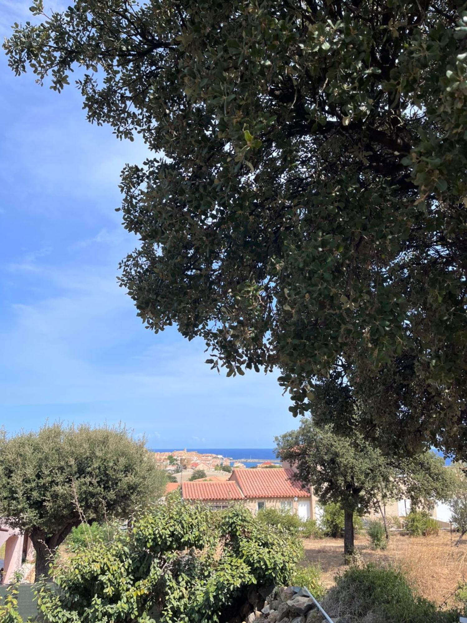 Appartement Rez De Villa LʼÎle-Rousse 外观 照片