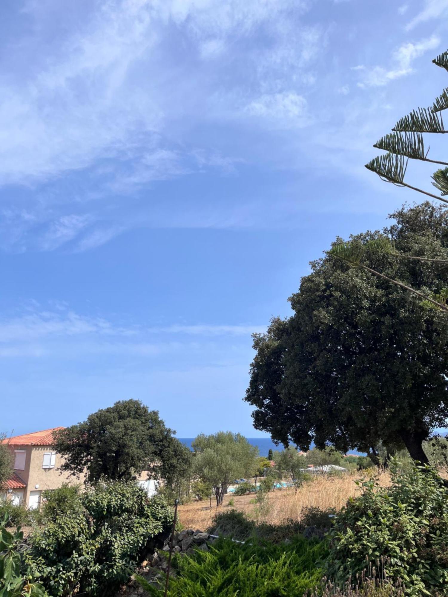 Appartement Rez De Villa LʼÎle-Rousse 外观 照片
